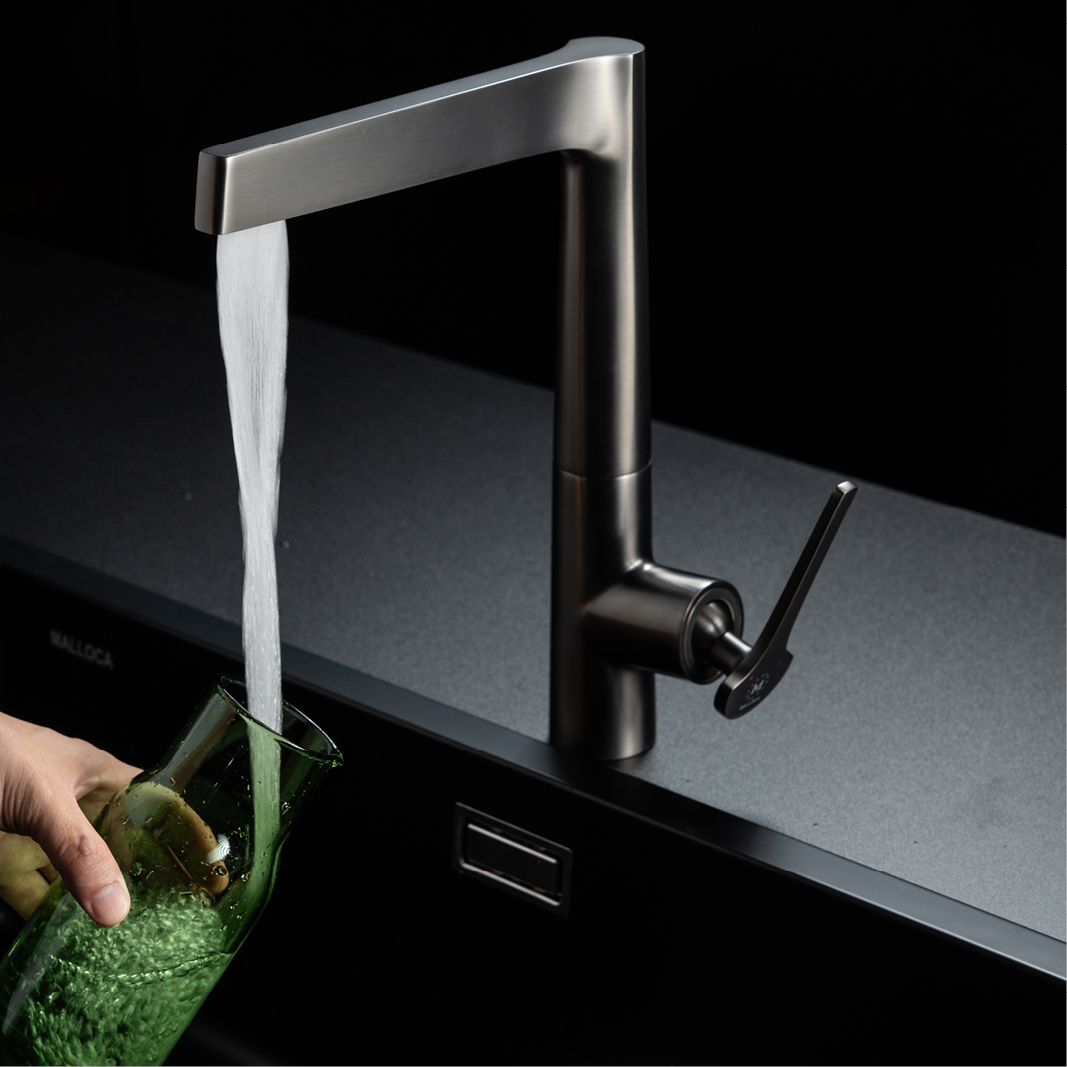 Vòi rửa chén K295BS